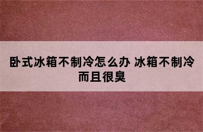 卧式冰箱不制冷怎么办 冰箱不制冷而且很臭